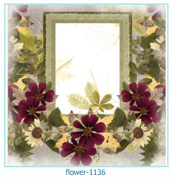cadre photo fleur 1136