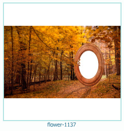 cadre photo fleur 1137