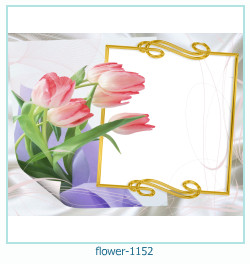 cadre photo fleur 1152