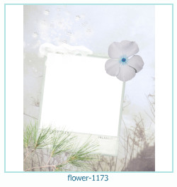 cadre photo fleur 1173