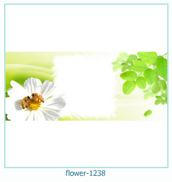 cadre photo fleur 1238