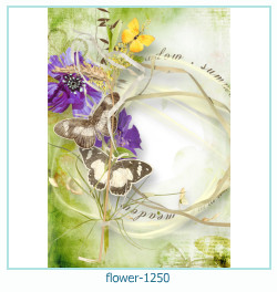 cadre photo fleur 1250