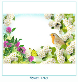 cadre photo fleur 1269