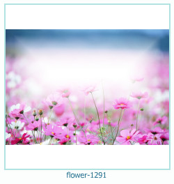 cadre photo fleur 1291