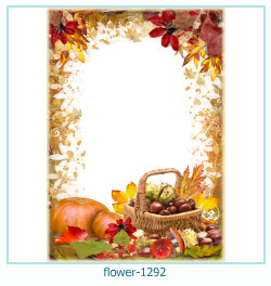 cadre photo fleur 1292