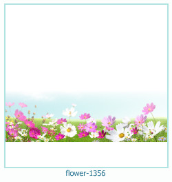 cadre photo fleur 1356