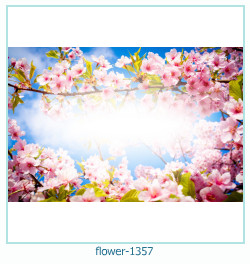 cadre photo fleur 1357