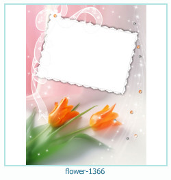 cadre photo fleur 1366