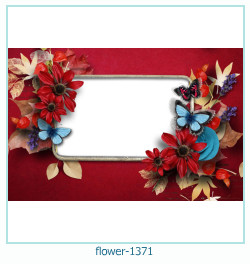 cadre photo fleur 1371