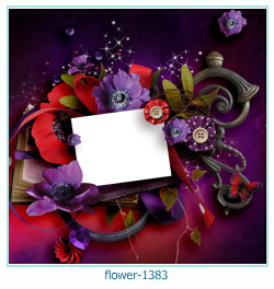 cadre photo fleur 1383