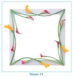 cadre photo de l'année de la fleur 14
