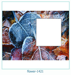 cadre photo fleur 1421