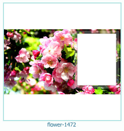 cadre photo fleur 1472