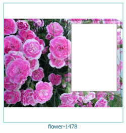 cadre photo fleur 1478