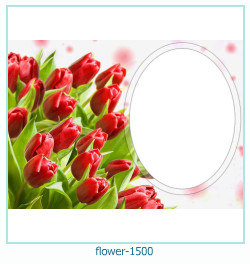 cadre photo fleur 1500