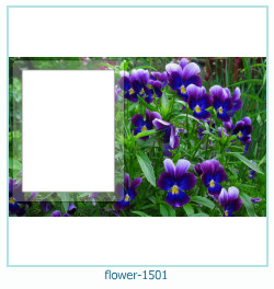 cadre photo fleur 1501