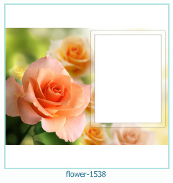 cadre photo fleur 1538