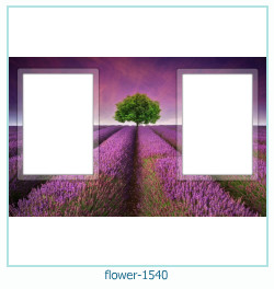 cadre photo fleur 1540
