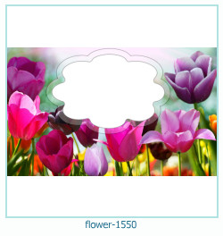 cadre photo fleur 1550