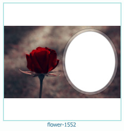 cadre photo fleur 1552
