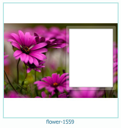cadre photo fleur 1559