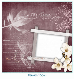cadre photo fleur 1562