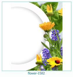 cadre photo fleur 1582