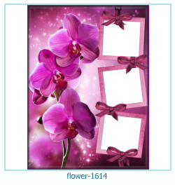 cadre photo fleur 1614