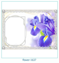 cadre photo fleur 1637