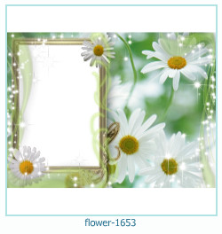 cadre photo fleur 1653