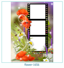 cadre photo fleur 1656
