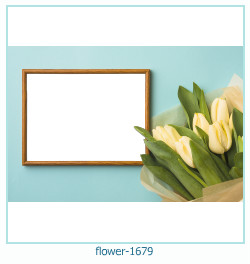 cadre photo fleur 1679