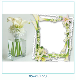 cadre photo fleur 1720