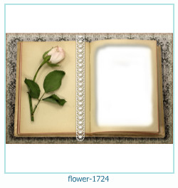 cadre photo fleur 1724