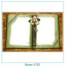 cadre photo fleur 1725