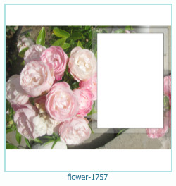 cadre photo fleur 1757