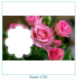 cadre photo fleur 1759