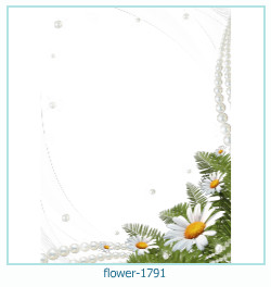 cadre photo fleur 1791