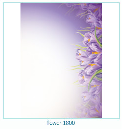 cadre photo fleur 1800