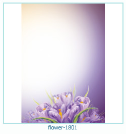 cadre photo fleur 1801