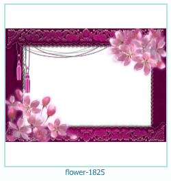 cadre photo fleur 1825