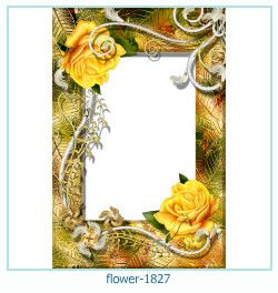 cadre photo fleur 1827