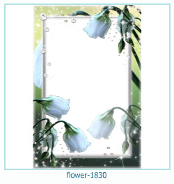 cadre photo fleur 1830