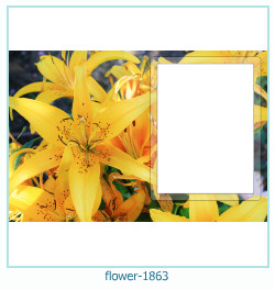 cadre photo fleur 1863