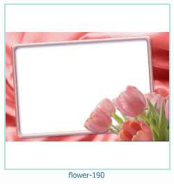 cadre photo fleur 190