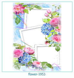 cadre photo fleur 1953