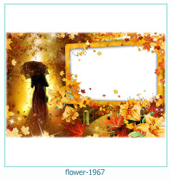 cadre photo fleur 1967
