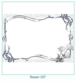 cadre photo fleur 197