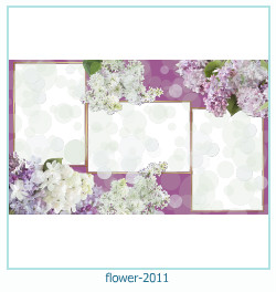 cadre photo fleur 2011