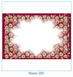 cadre photo fleur 205